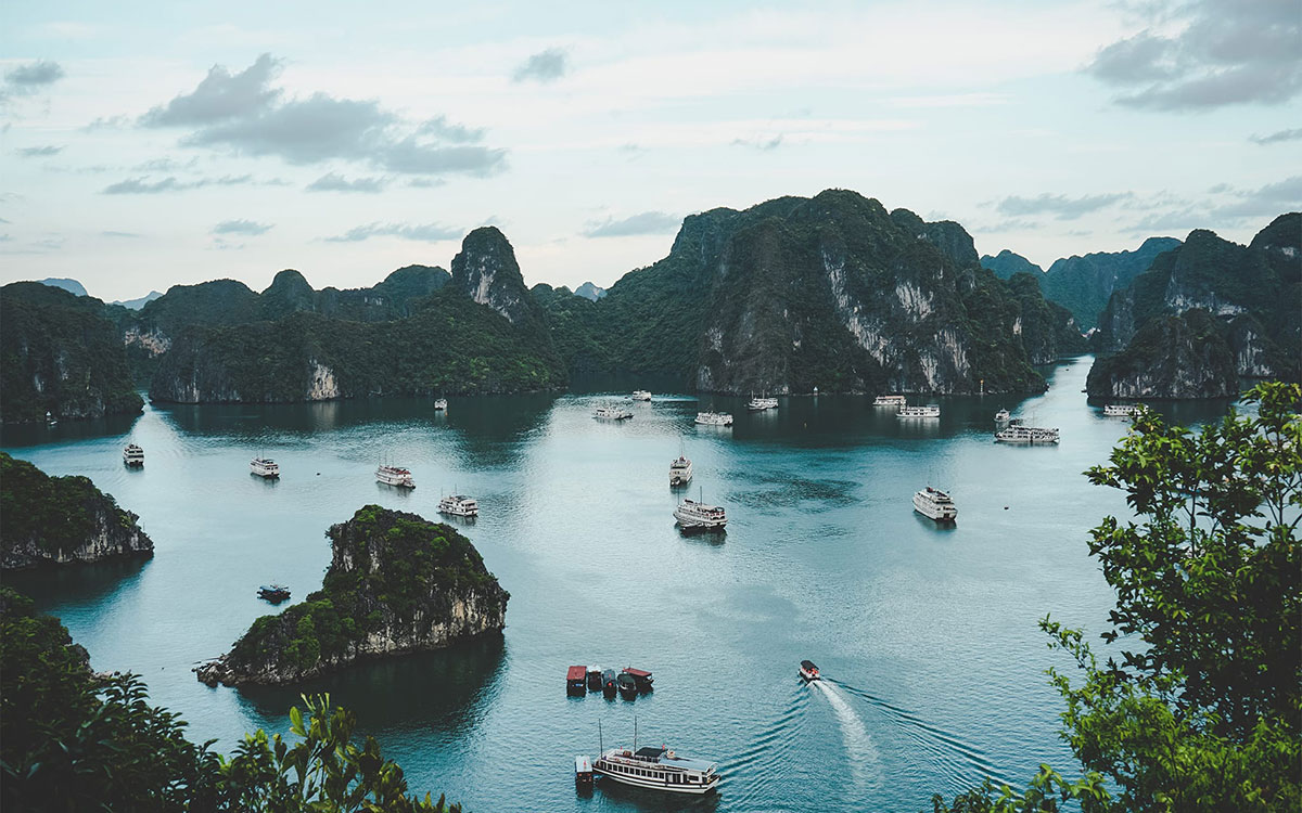 5c2f7613445ea987b8b776eb_ammie-ngo-690967-unsplash-copy.jpg